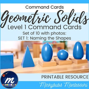 Constructive Solids Montessori Command Cards Naming the Shapes Level 1