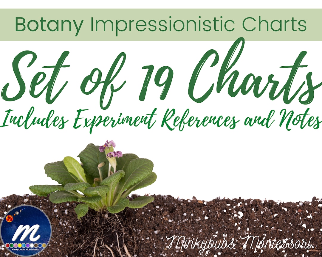 Botany Charts Impressionistic Montessori Etsy