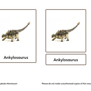 Dinosaurs Montessori 3 Part Cards With Picture and Labels for Sorting ...