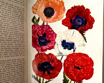 1951 The Wise Garden Encyclopedia, Antique Flower Reference Book, Made in USA