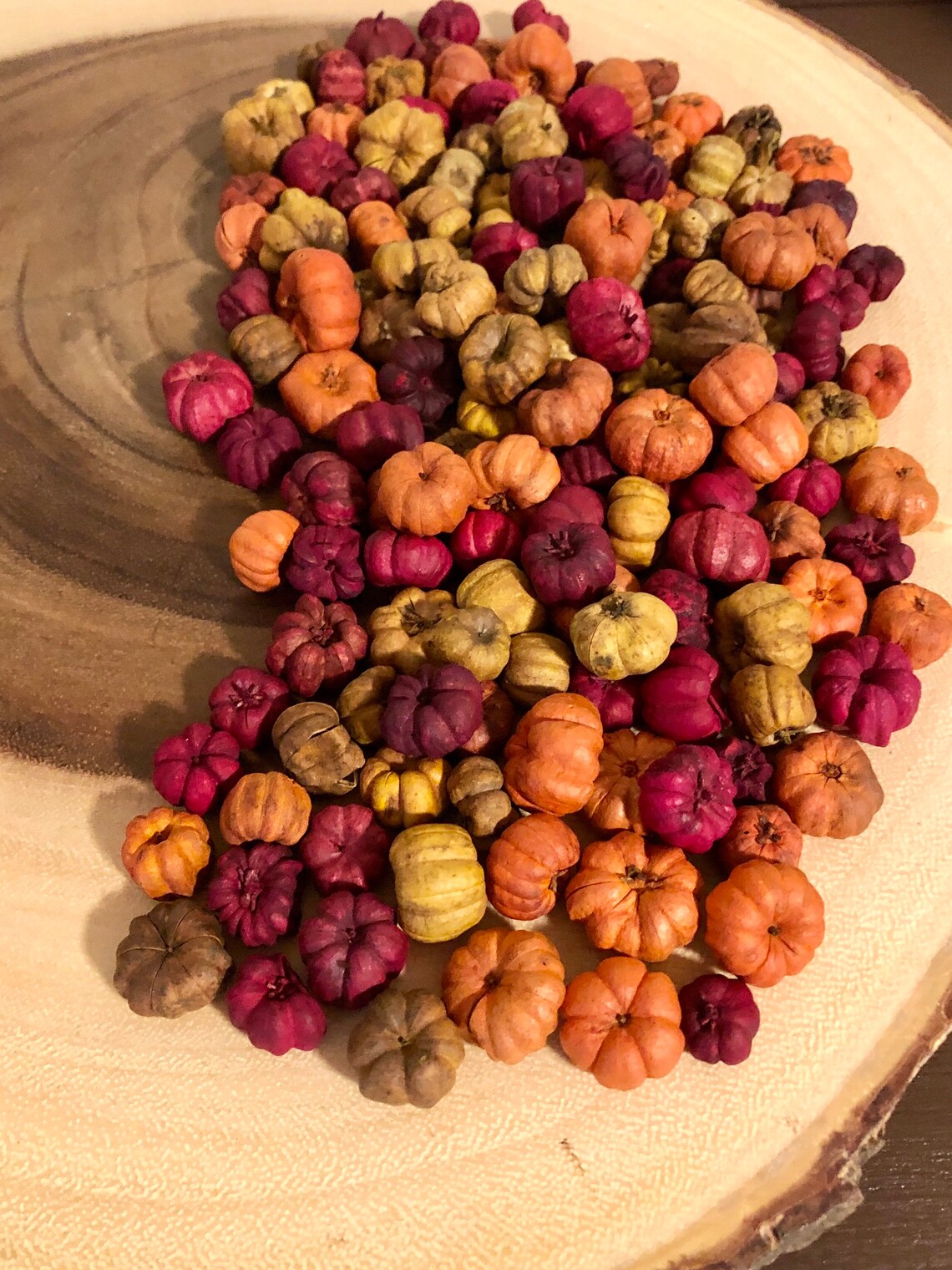 Pumpkin Pods Putka Pods Autumn Mix Hand Selected Choose Etsy