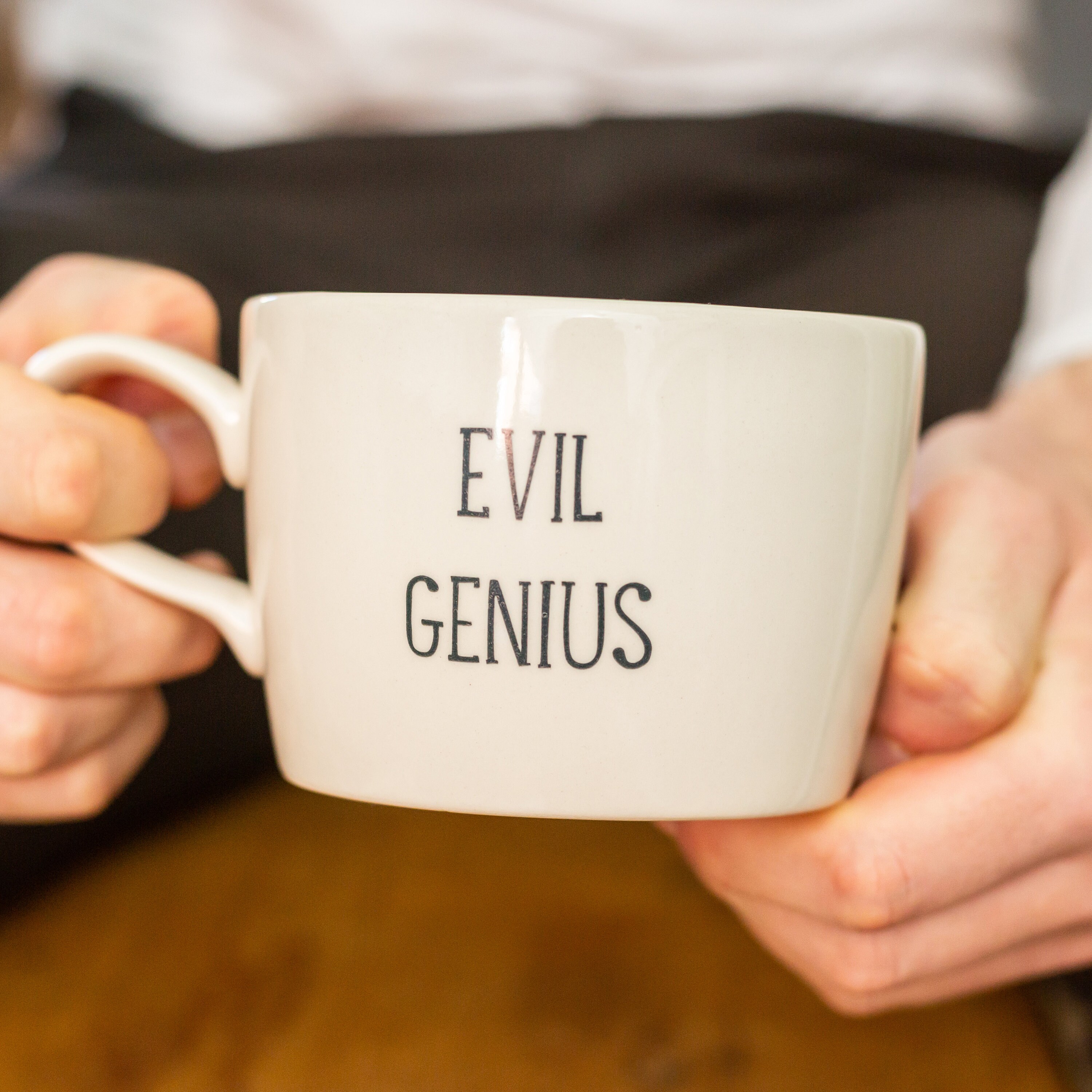 Evil genius cup handmade ceramic mug, gift for brother friend inlaws, funny mug