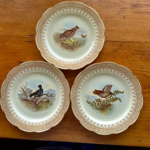 Antique Collectible Game Bird plates, Decorative porcelain, Scalloped edges, gold accents, hand painted birds German? English? Gift  idea