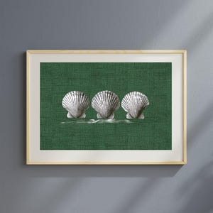 May include: Three white scallop shells are arranged in a row against a dark green background. The shells are detailed and realistic, with a textured surface.