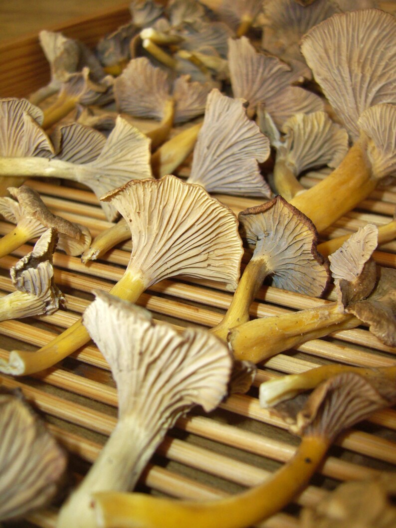 Fruit & Mushroom Drying Racks Etsy