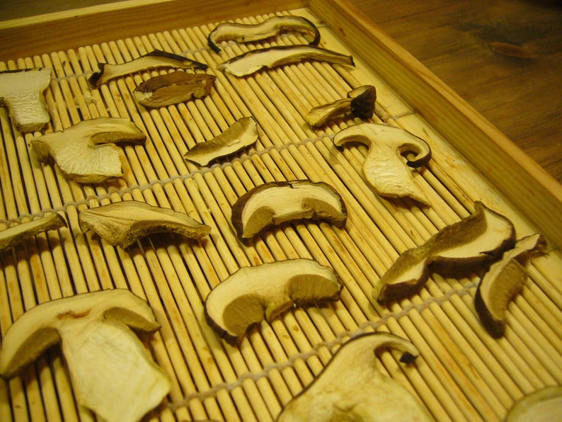 Fruit & Mushroom Drying Racks Etsy