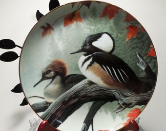 8.5" Fine Collector Duck Plate w/24K Border- Nature Bird Art Collectible Gift