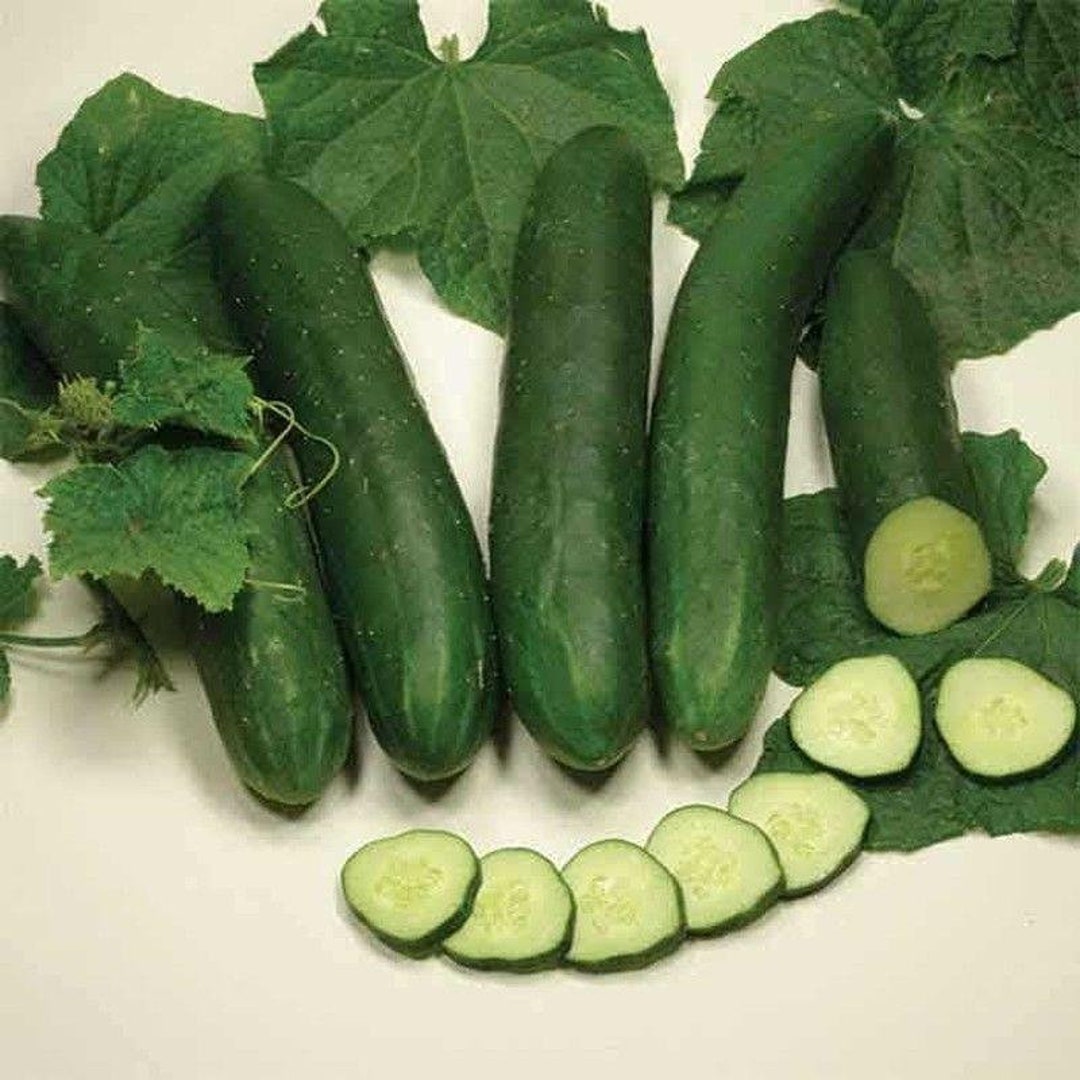 Sweet Slice Cucumber Seeds Etsy