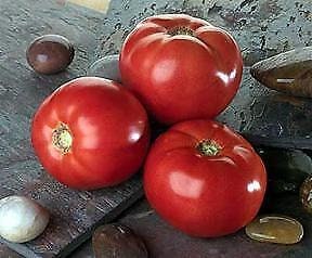 Bella Rosa Tomato Seeds