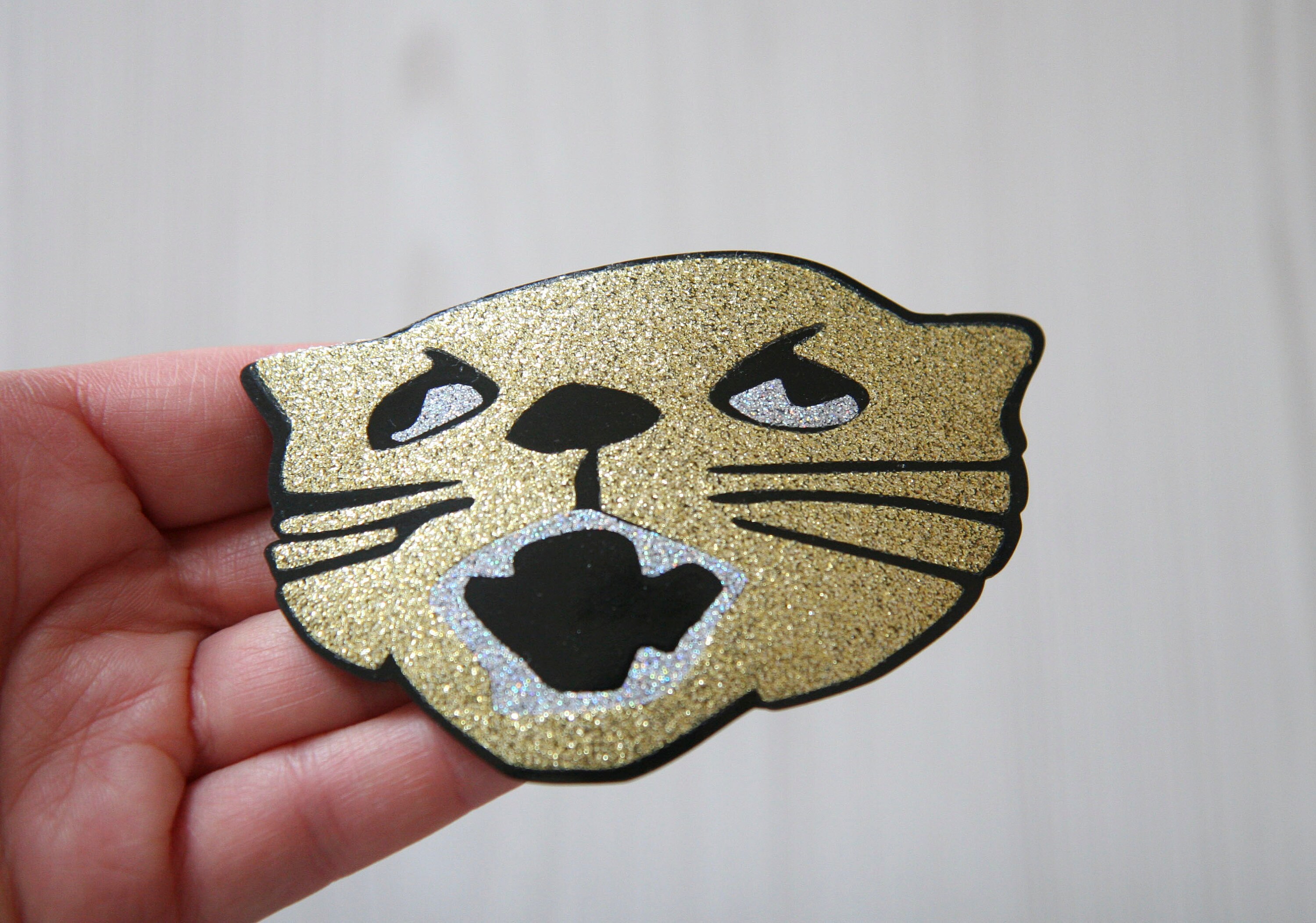 cat hair barrette