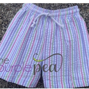 Boys Swimsuit ~ Multi colored seersucker  ~Monogrammed Swim suit ~ Toddler Swimsuit ~ Seersucker Swimsuit