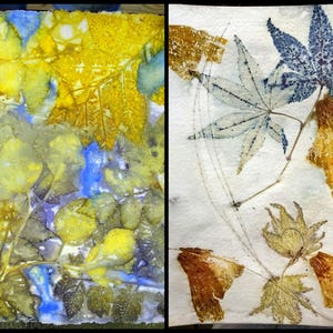 Impression écologique sur papier en couleur et naturel, 69 pages avec photos, Didacticiel complet de création de PDF, Impression botanique, Impression écologique par M Theresa Brown