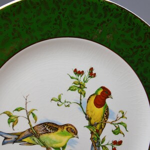 May include: A white ceramic plate with a green and gold rim. The plate features a painted design of two birds perched on branches with red berries.