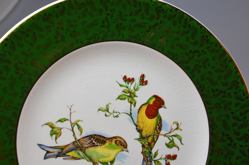 May include: A white ceramic plate with a green and gold rim. The plate features a painted design of two birds perched on branches with red berries.