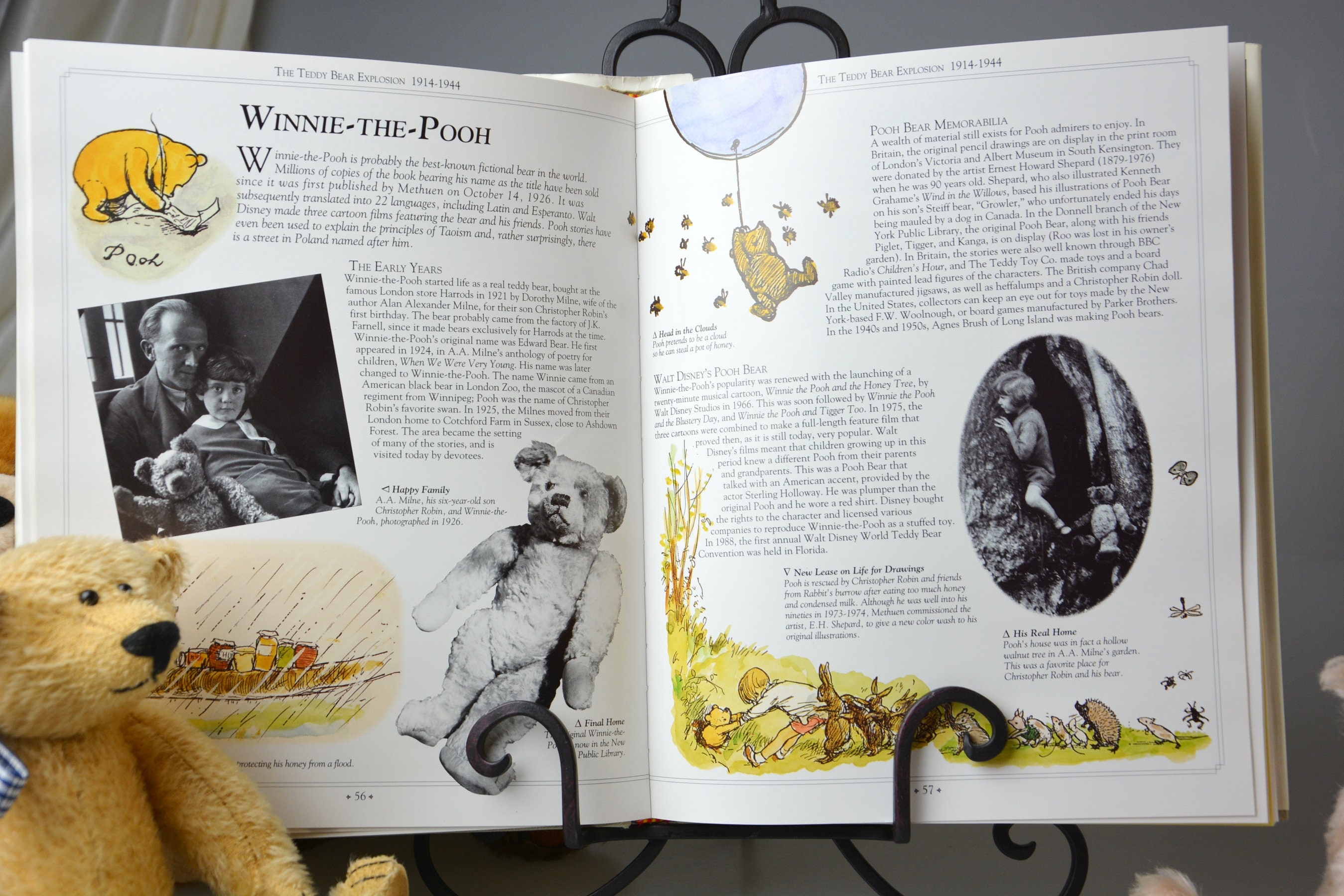 the ultimate teddy bear book the ultimate teddy bear book