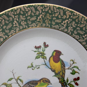 May include: A white ceramic plate with a green and gold rim. The plate features a painted image of two birds perched on a branch with red berries. The birds are yellow, red, and green.