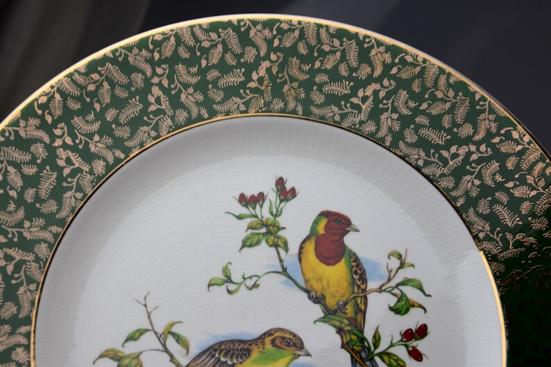 May include: A white ceramic plate with a green and gold rim. The plate features a painted image of two birds perched on a branch with red berries. The birds are yellow, red, and green.