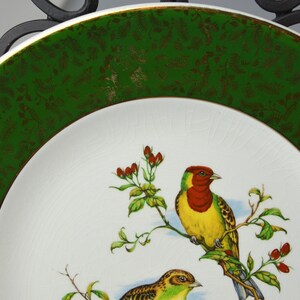 May include: A white ceramic plate with a green and gold rim. The plate features a painted design of two birds on a branch with red berries.
