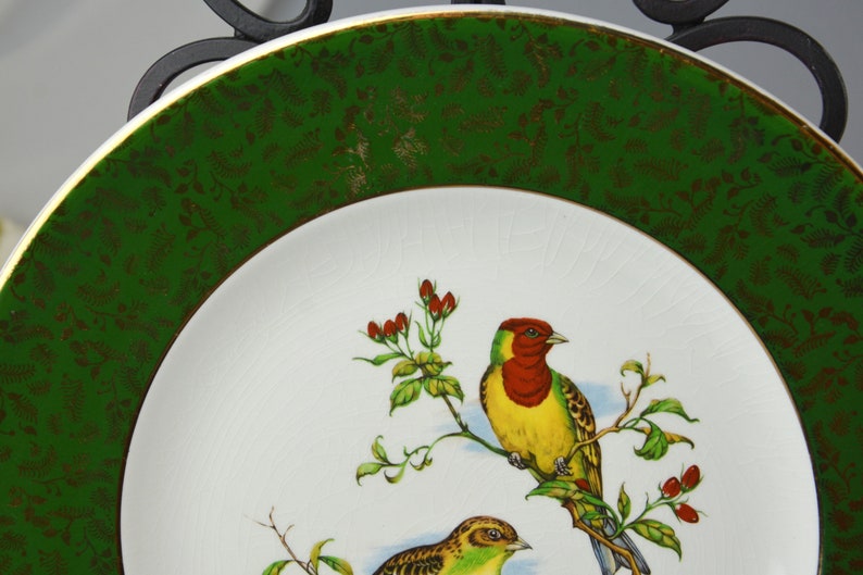 May include: A white ceramic plate with a green and gold rim. The plate features a painted design of two birds on a branch with red berries.