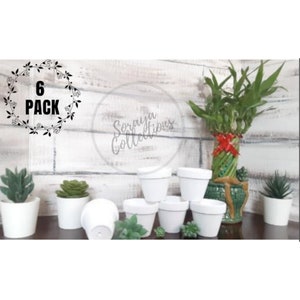 Wedding Party Favors / Succulent Party Favors / Bridal shower favor / Party favors/ Succulent Pots/ Terra Cotta pots / Thank you gift