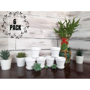 Wedding Party Favors / Succulent Party Favors / Bridal shower favor / Party favors/ Succulent Pots/ Terra Cotta pots / Thank you gift