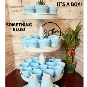 Wedding Party Favors / Succulent Party Favors / Bridal shower favor / Party favors/ Succulent Pots/ Terra Cotta pots / Thank you gift