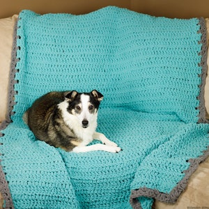 Crochet Dog Blanket, Crochet Couch Cover