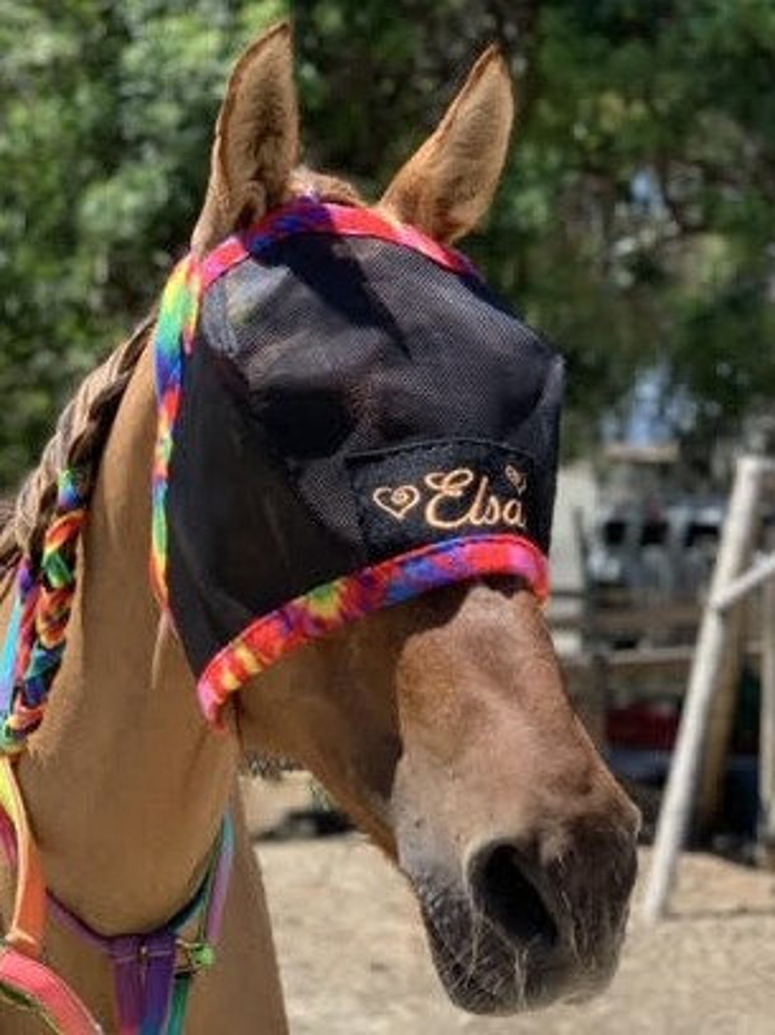 Custom Made Embroidered HORSE FLY MASK by Bobbigee's - Etsy