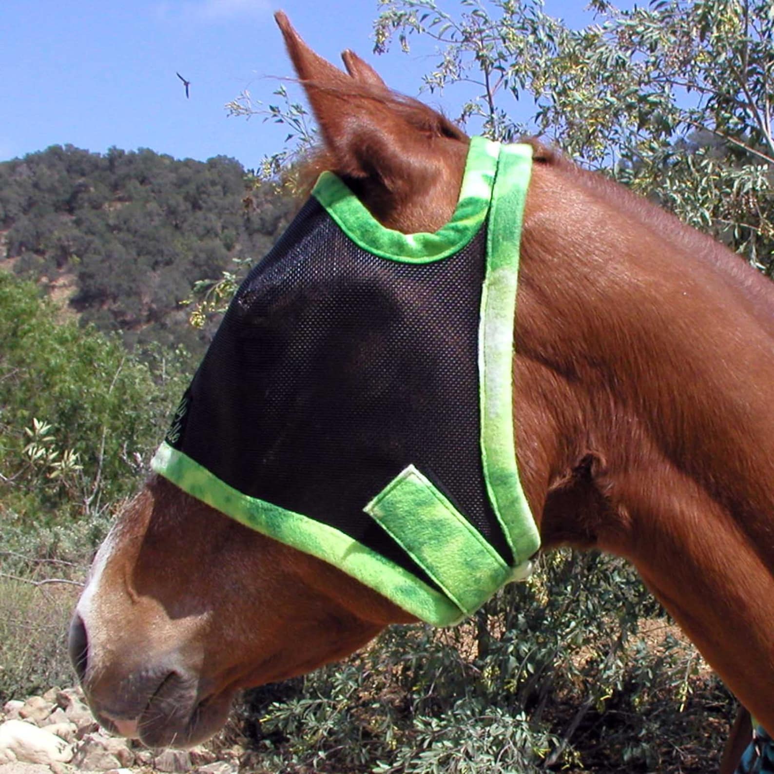 Custom Made Embroidered HORSE FLY MASK by BobbiGee's Etsy