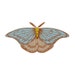 PopSugar Vintage