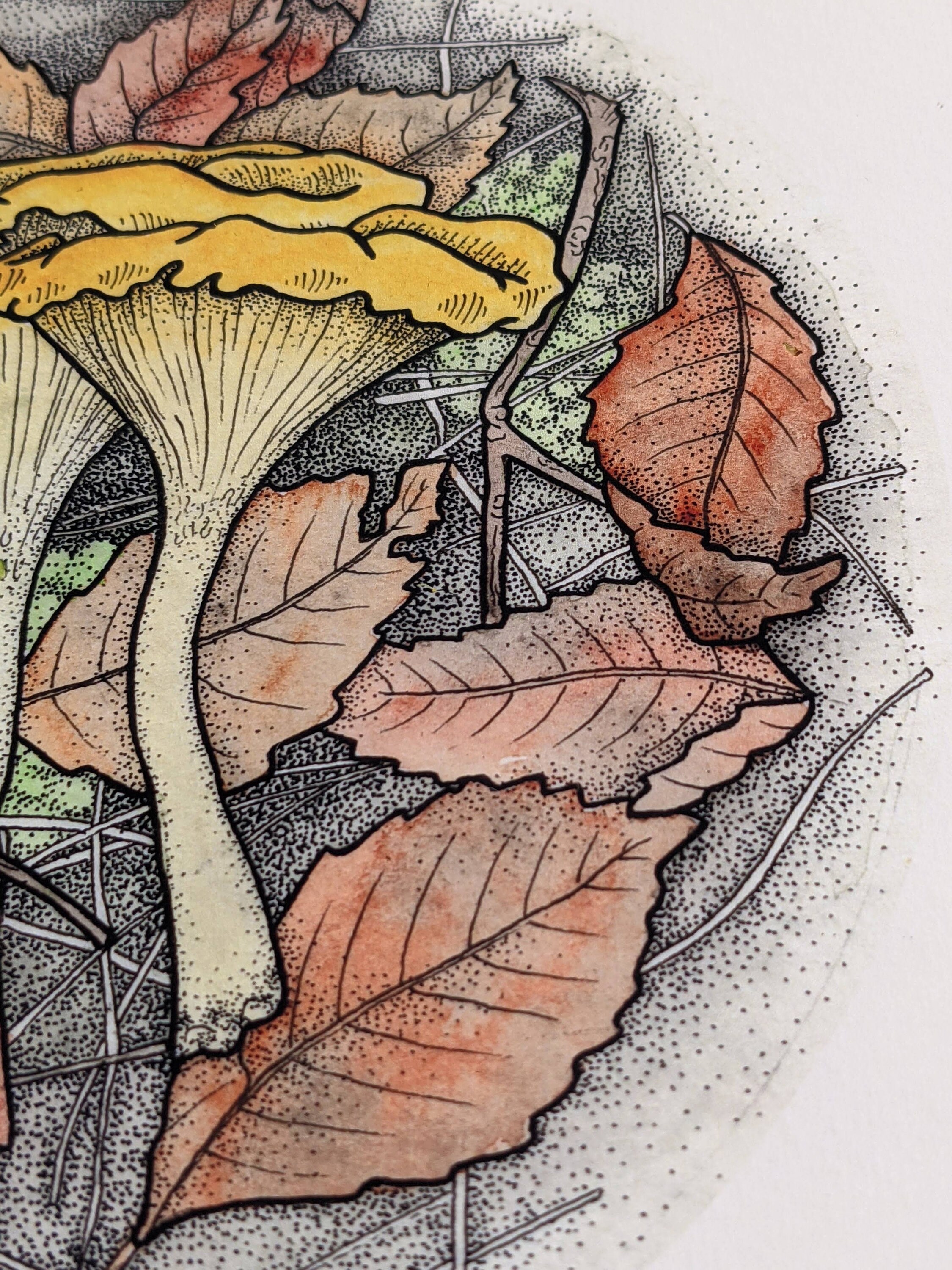 Chanterelle Art Print 8 x 10 Giclee Print Watercolor Etsy