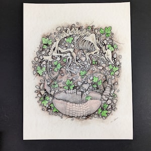 Ascending Armadillo Art Print - 11 x 14" Giclee Print - Rysunek piórem akwarelowym i tuszem