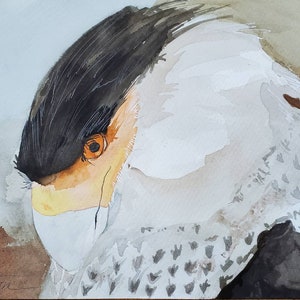 Laguna Atascosa Series " The Cunning Crested Caracara" one of a kind original watercolor.