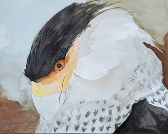 Laguna Atascosa Series " The Cunning Crested Caracara" one of a kind original watercolor.