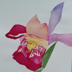 May include: Watercolor painting of a pink and purple orchid with a yellow center and green stem. The painting is signed "Mattson" in the bottom right corner.