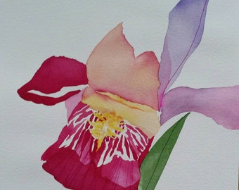 SPRING SALE.  "Iris Exploding on the Scene" one of a kind original watercolor.