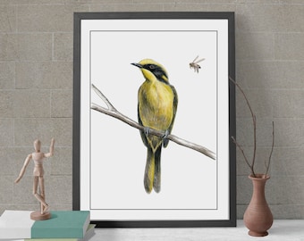 May include: A framed illustration of a yellow and black bird perched on a branch with a bee flying nearby. The bird has a long tail and a black head. The background is white.