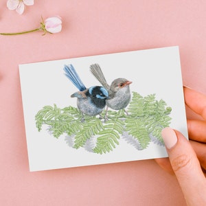 Superbe troglodyte mignon - carte de voeux d'art animalier. Illustration au crayon. Troglodyte mignon d'Australie, petits oiseaux mignons, fronde de fougère, amour de paire d'oiseaux