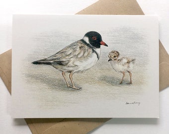 Tarjeta artística de chorlito encapuchado: dibujo a lápiz de un pájaro australiano