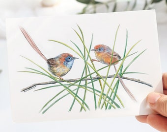 Tarjeta de felicitación artística de un emú-cucarachín de Mallee: ilustración de un pájaro australiano