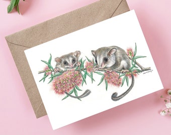 Tarjeta artística de planeador de cola de pluma: Tarjeta de felicitación de vida silvestre australiana