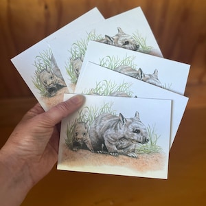 5 x Hairy-nosed Wombats-wenskaarten. Potloodillustratie. Wombatmoeder en baby met grassen rood zand Bedreigde Australische dieren in het wild