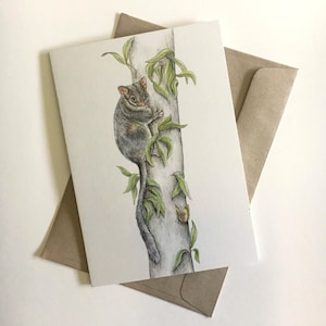 Leadbeater's Possum - Australian wildlife art greeting card. Victorian state emblem. forest gum leaves tree butterfly cute animal grey fur