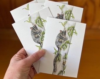 Tarjetas de arte de zarigüeyas de Leadbeater: fauna australiana en peligro de extinción (juego de 5)