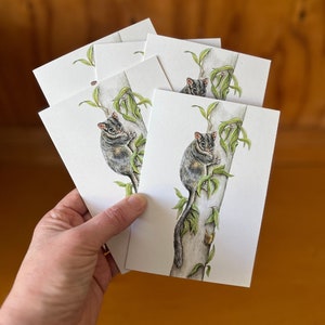 5 x Leadbeater's Possum greeting cards. endangered Victorian state emblem. forest gum leaves tree butterfly cute animal Australian wildlife