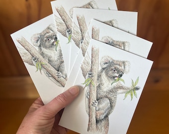 Tarjetas de Koala (juego de 5), tarjetas de felicitación de fauna australiana