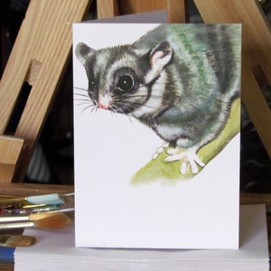 Leadbeater's Possum painting - Australian wildlife art greeting card. Endangered species cute eyes forest fairy climbing down tree. Victoria
