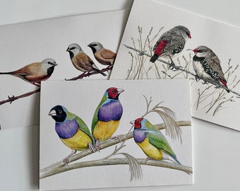 Tarjetas de felicitación con diseño de pinzón australiano - Juego de 3