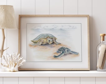 Impresión de tortuga de espalda plana: arte de la vida silvestre australiana, tamaño A3