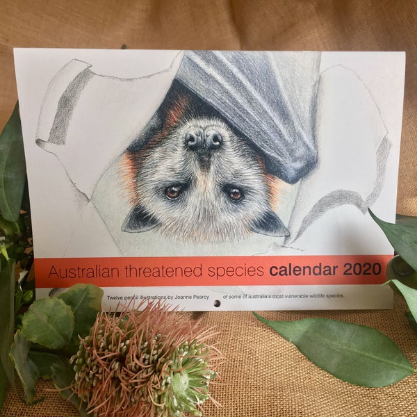 2020 Calendar Australian threatened species - A4 wall calendar Christmas corporate gift office recycled paper animal bird wildlife art